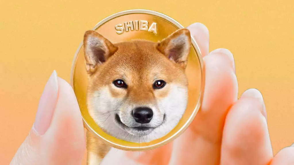 Shiba-Inu : Une valeur relativement faible